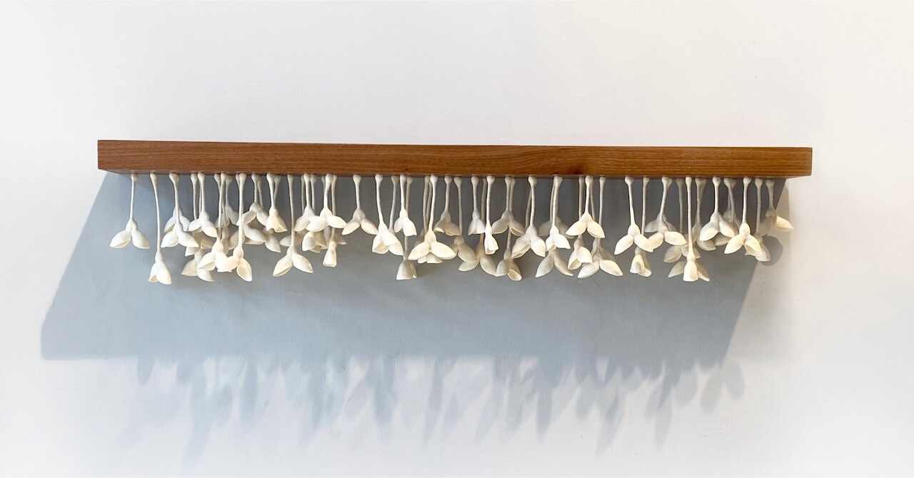 Teresa Shields' 'Seedbed', 2020: White wool forms dangle from a walnut board.